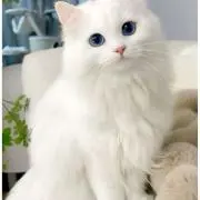 @AIMの画像