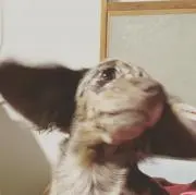 いつもニッコリ
