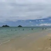Moanaの画像