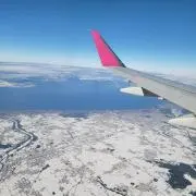 りょ