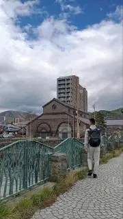 ハイカルの画像