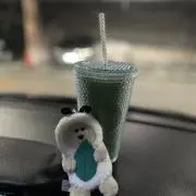 BEAR  ※プロフ必読※の画像