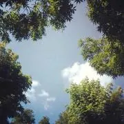 みんちゃ