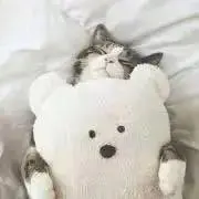 ぽてと※プロフ必読の画像