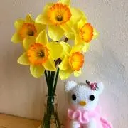 せんさん