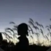 sの画像