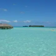 Reyの画像