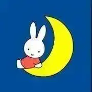 やっふぃー
