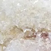 coco.の画像