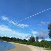 ひいな