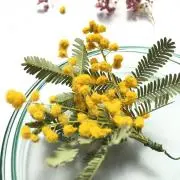 izunの画像