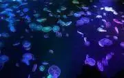 ☆mkstyk☆の画像