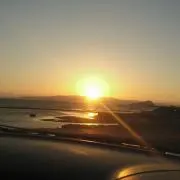 のぞみ