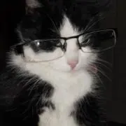 こむぎ