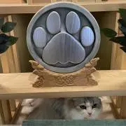たらこの画像