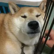 がろ