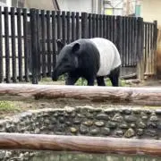 けいの画像
