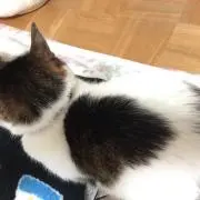 のんちゃん