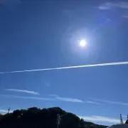 冬子