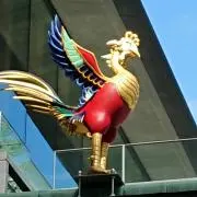 tm(プロフ必読願います)の画像