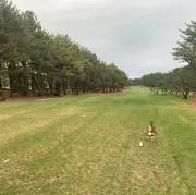 Shouta Yamaura