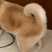 ✌︎の画像