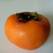 ✳✳ヨシヲ✳✳