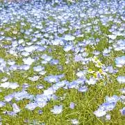 ☆happiness☆の画像