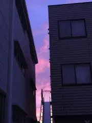 マルマルちゃん