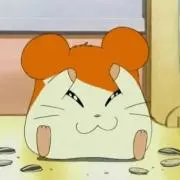 やしのみさいだーの画像
