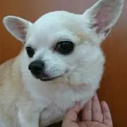 モビー☆