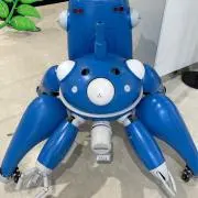 たちこまの画像