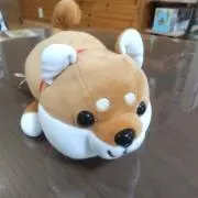 ともの画像