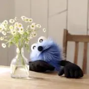 オオクラの画像