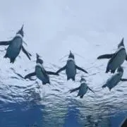 み(⚠️プロフ必読)の画像