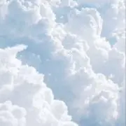 くぅの画像