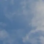 おおちゃん