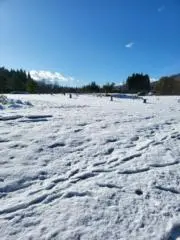 kohkiの画像