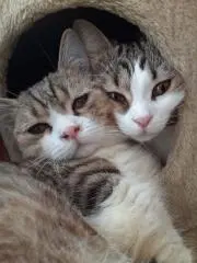 ちぃくんの画像