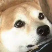 センちゃん