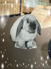 うるるん(*^^*)vの画像