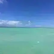 CCANの画像