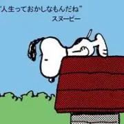 Makiの画像