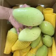 ノダ⭐︎ベトナム食材の画像