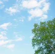 katouの画像