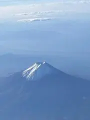 ピノコの画像