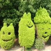 たろきちの画像