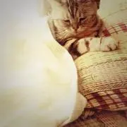 you