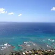 chii☆の画像