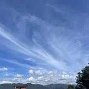 かっちゃんの画像